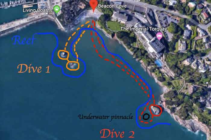 Beacon cove dive map