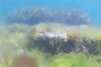 Fairy cove6