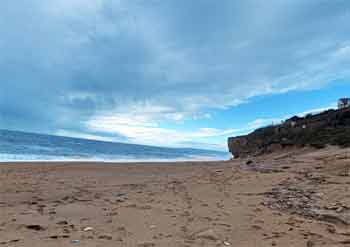 Hive beach
