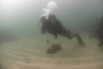 Diver