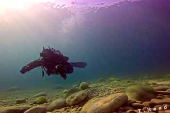 Diver chesil cove