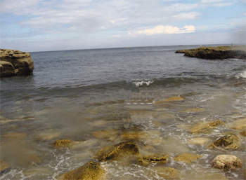 Thornwick bay entry/exit