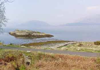 Broom point