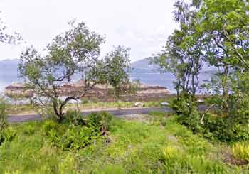 Broom point entry/exit