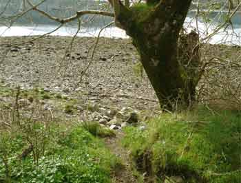 Drishaig reef2