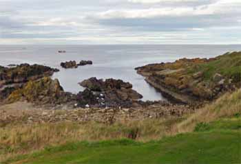 High shore exit point