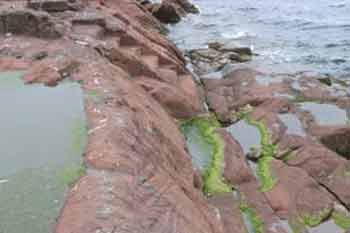 Kintyre entry/exit