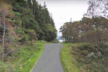 Scots pine bay parking