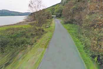 Scots pine bay parking