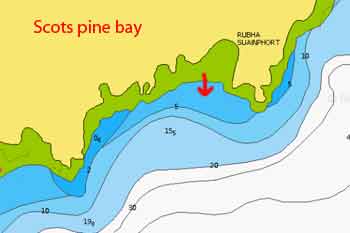 Scots pine bay dive map