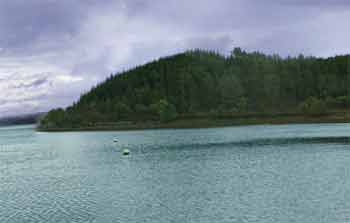 Stonefield reef