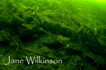 Brackly point wreckage