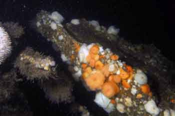 kintyre9