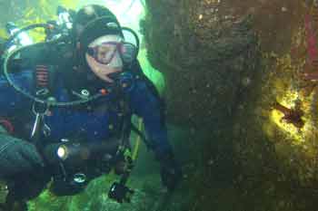 Diver