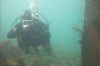Diver under the pier